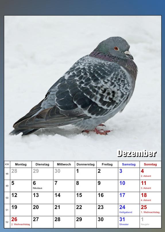 Dezember