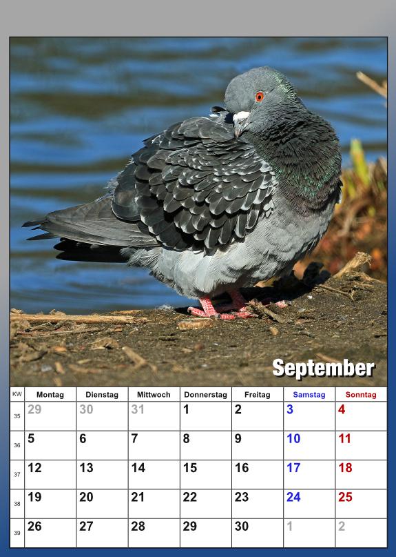 September