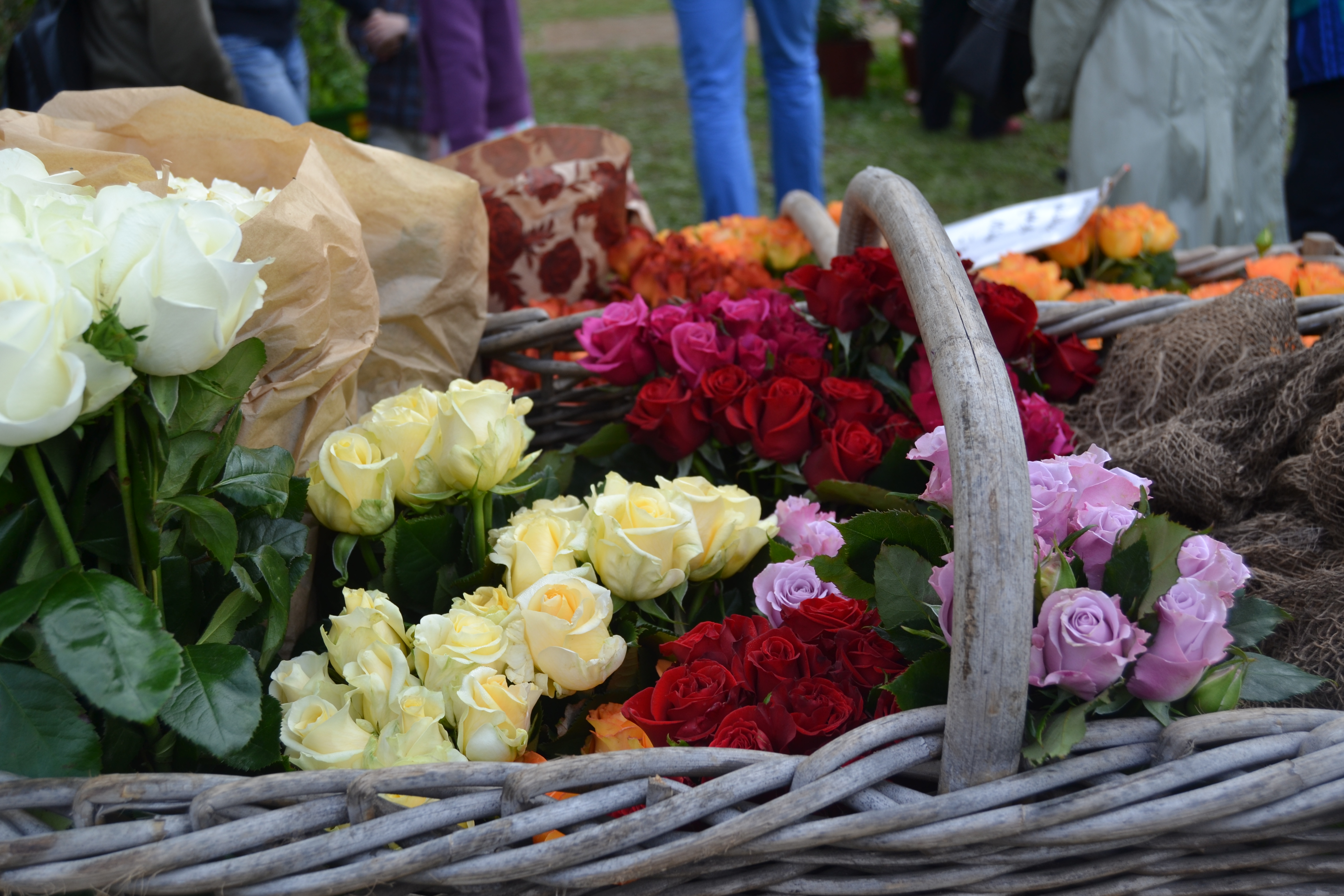 Aktionen in Cimiotti's Garten Mendig blüht Der von