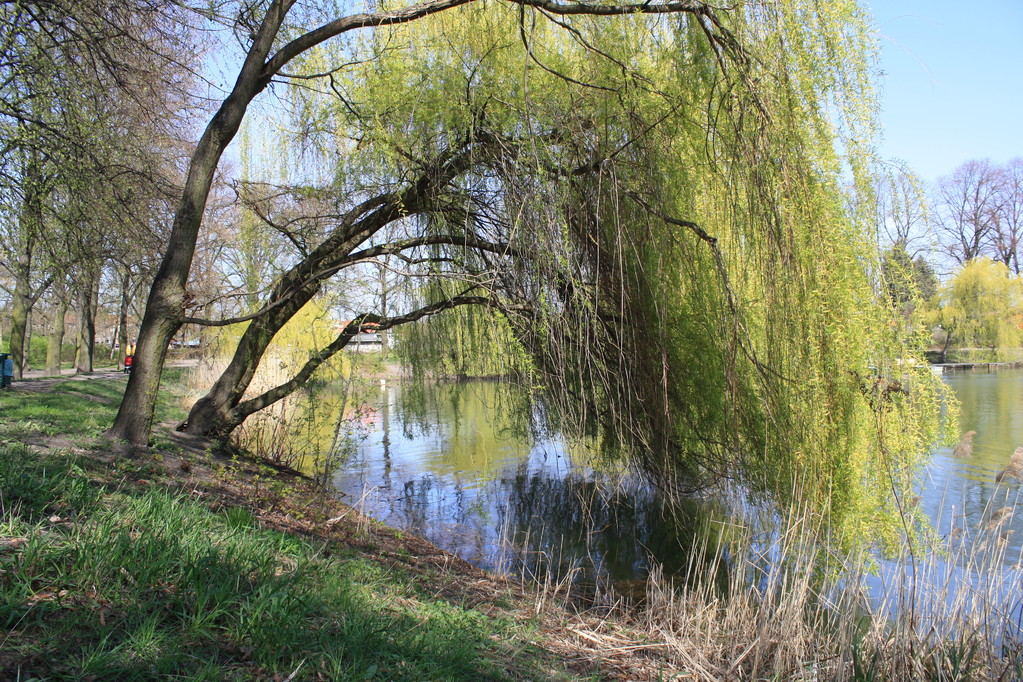 Faszinierender Blick auf den Orankesee