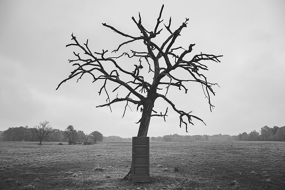 Dead tree door