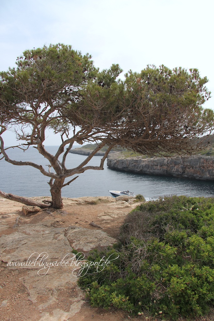 Lieblingsidee Mallorca Cala Pi