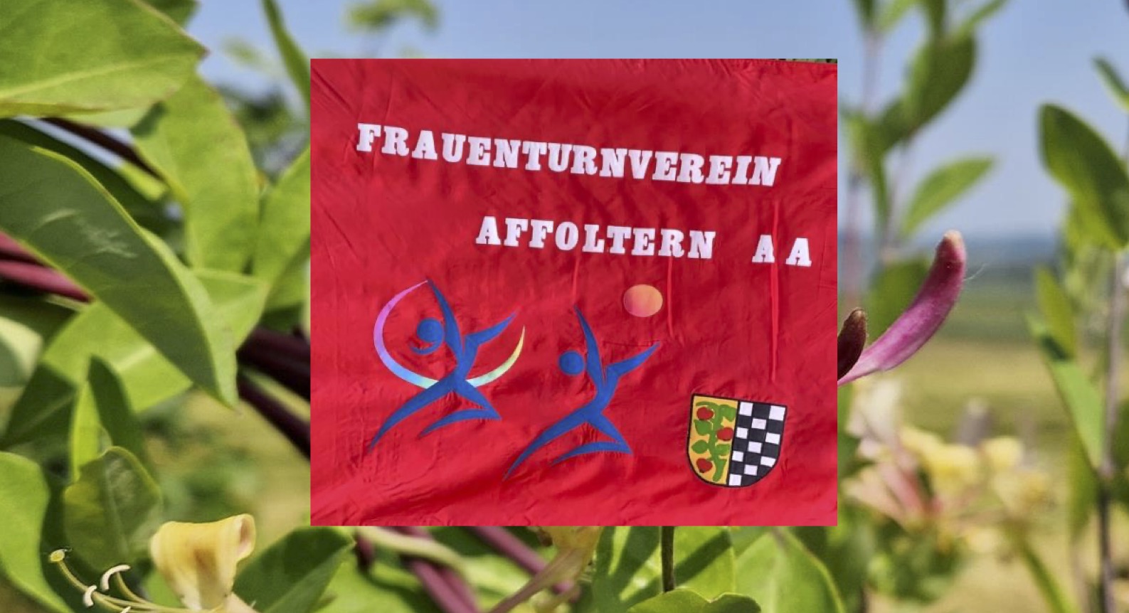 (c) Ftva.ch