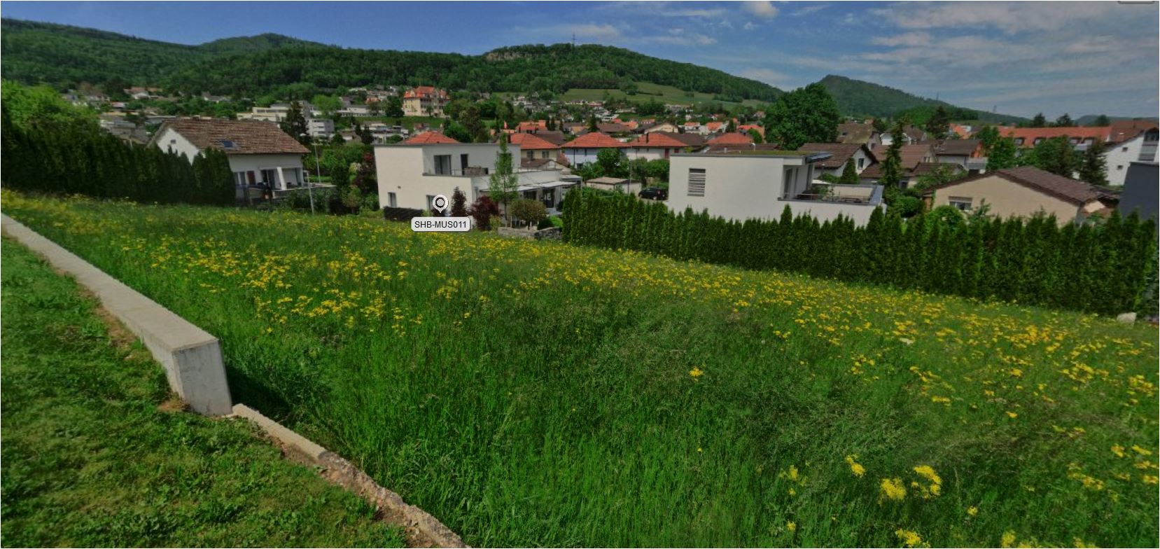 Haus Nahe Olten Kaufen Immobilien Kanton Solothurn