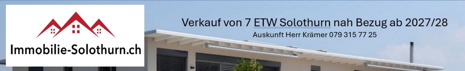 Wohnung Solothurn kaufen