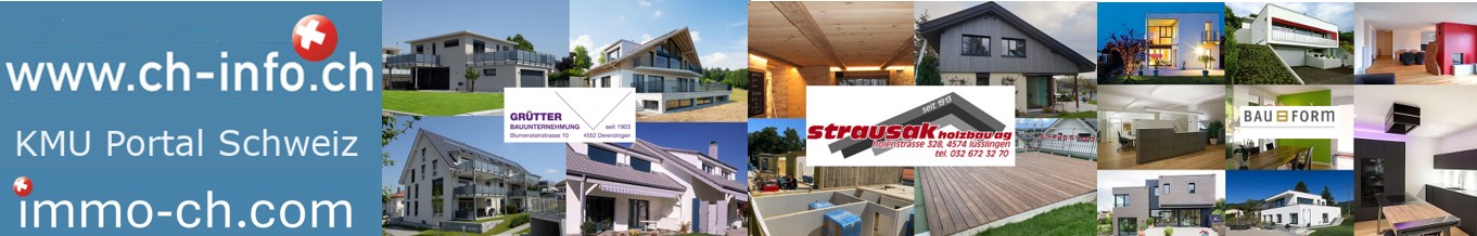 Immobilienportal Kanton Solothurn