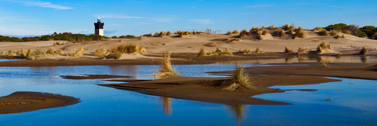 Plage de l'Espiguette