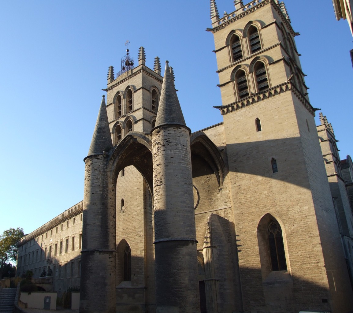 Cathedrale Saint Pierre / Montpellier