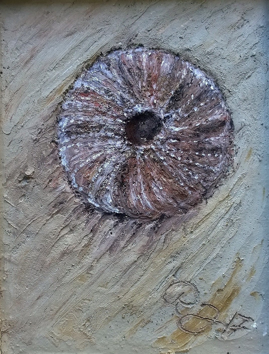 Seeigel 21 x 30* (Nr.3)
