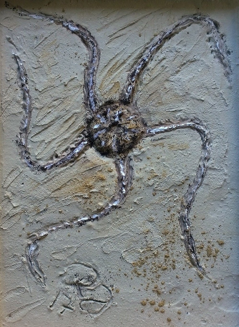 Schlangenstern 21 x 30* (Nr.2)