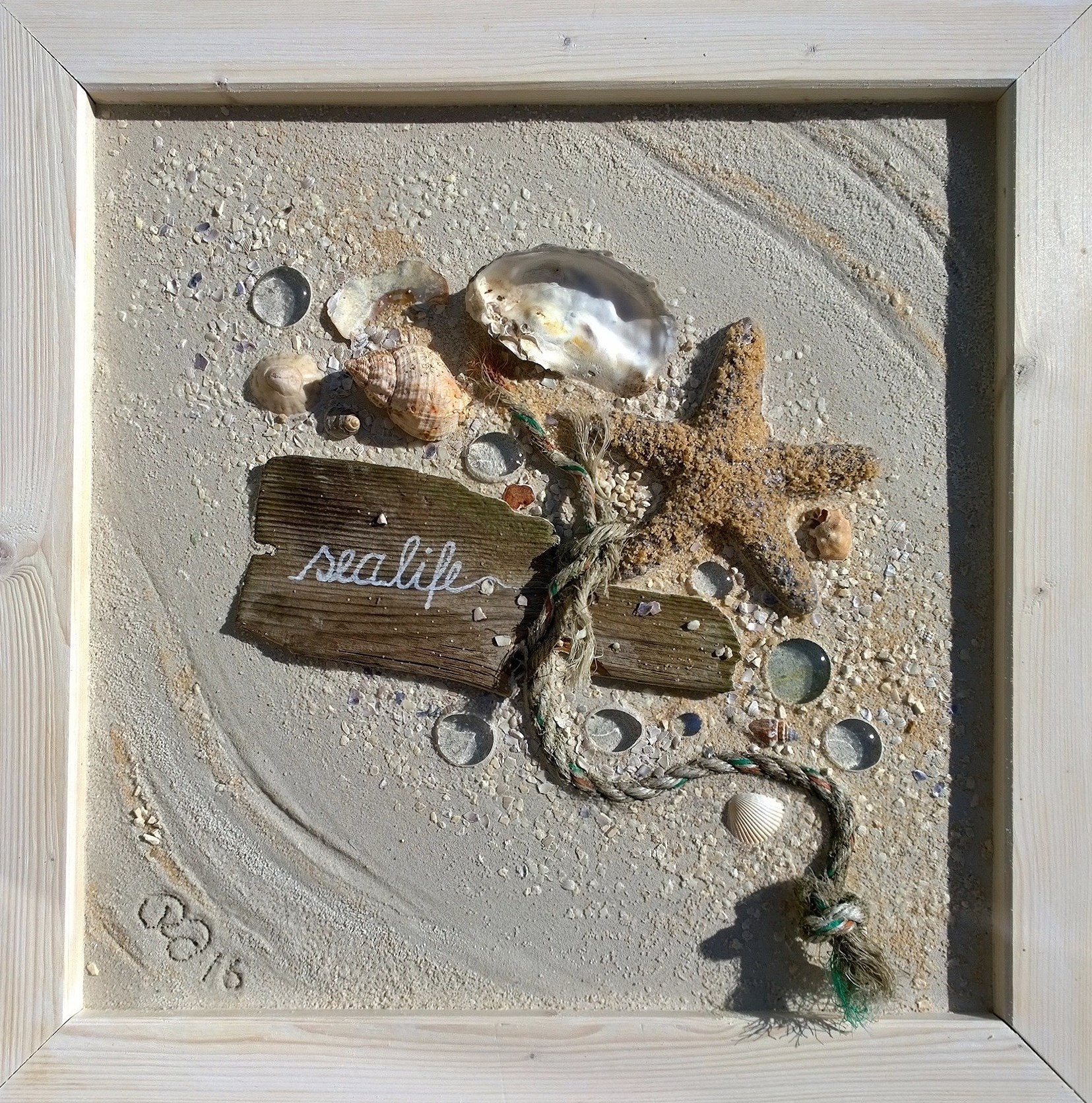 Sealife 50 mal 50