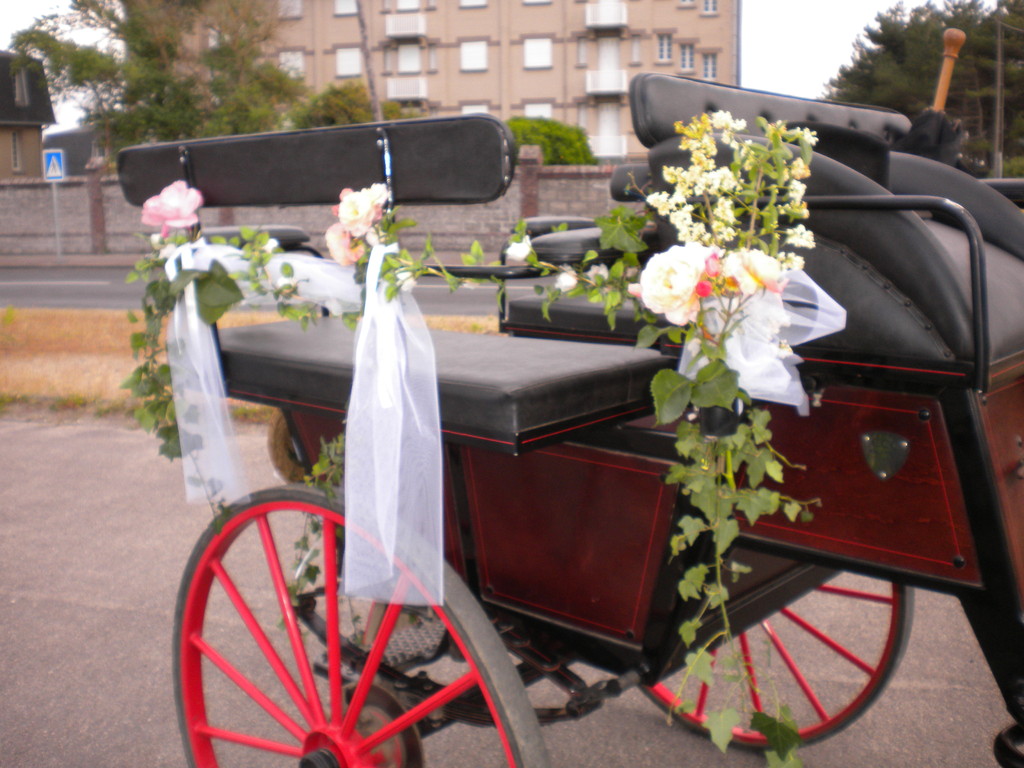 Decoration Caleche Mariage Decoration Caleche Mariage