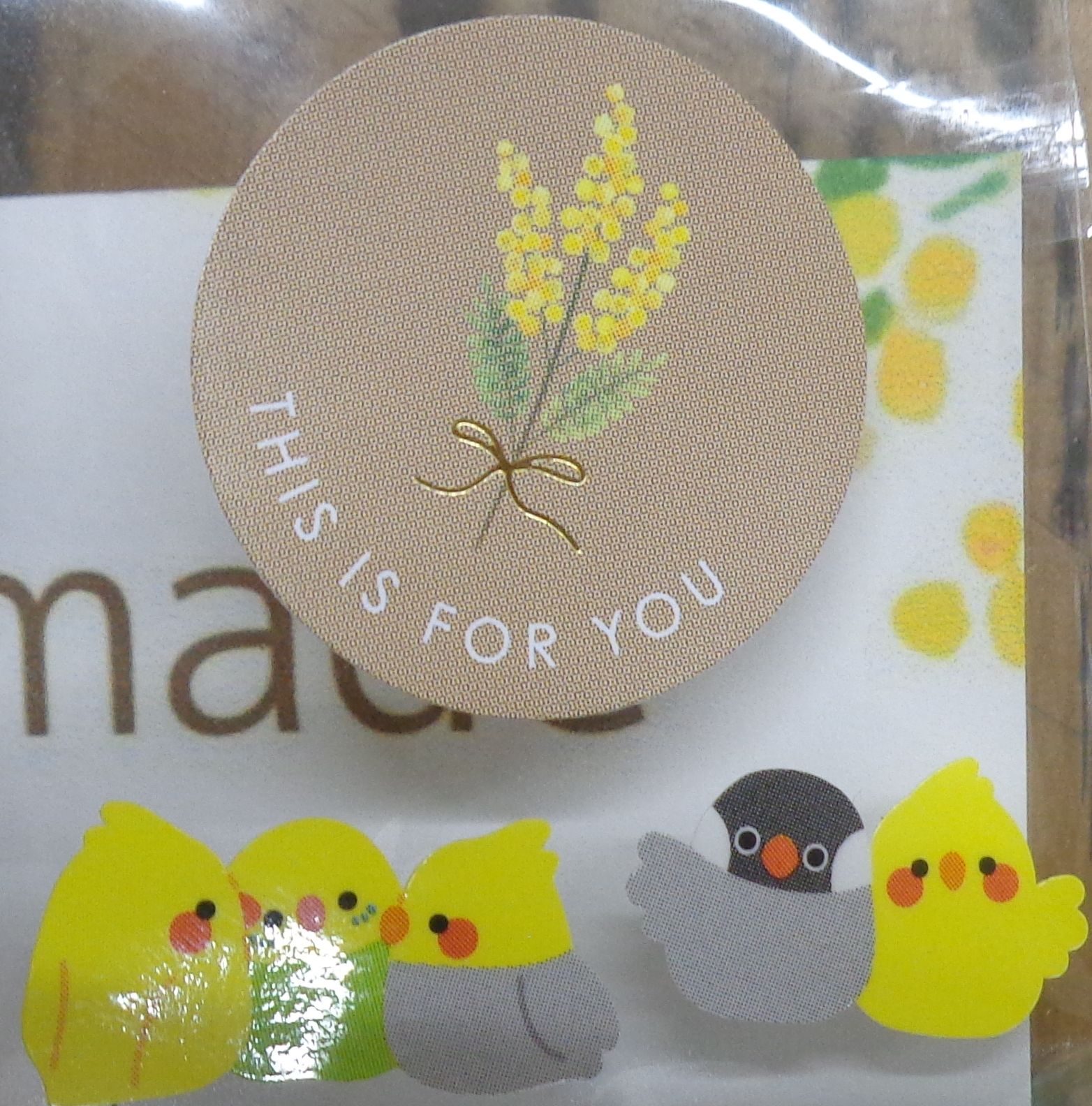 bird-style_tf-012