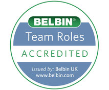 Belbin Teamrollentest