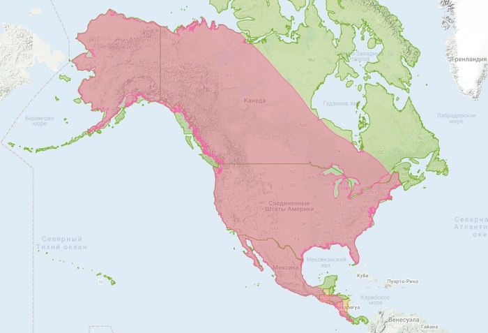 Современный ареал койота / iNaturalist.org. Красный - официальный ареал, зеленый - территория с контрольными списками (фактический ареал) 