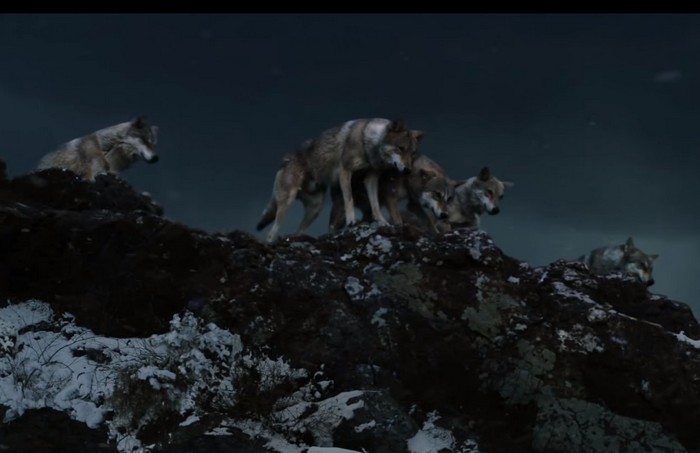 Screenshot © Mars Films / YouTube (Le dernier loup - Les coulisses: les loups sur le tournage). Inner Mongolia, China. CC BY 3.0 