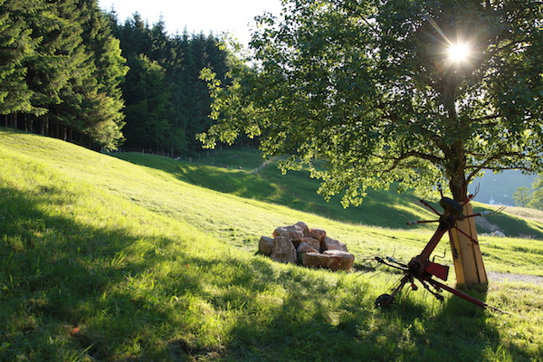 Ein Sommer wie keiner davor