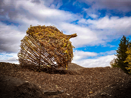 Terre d'accueil - Landart 2018