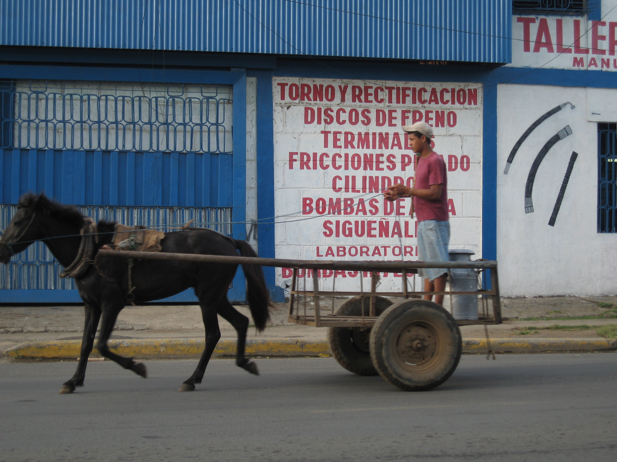 Chariot à un cheval vapeur au Honduras