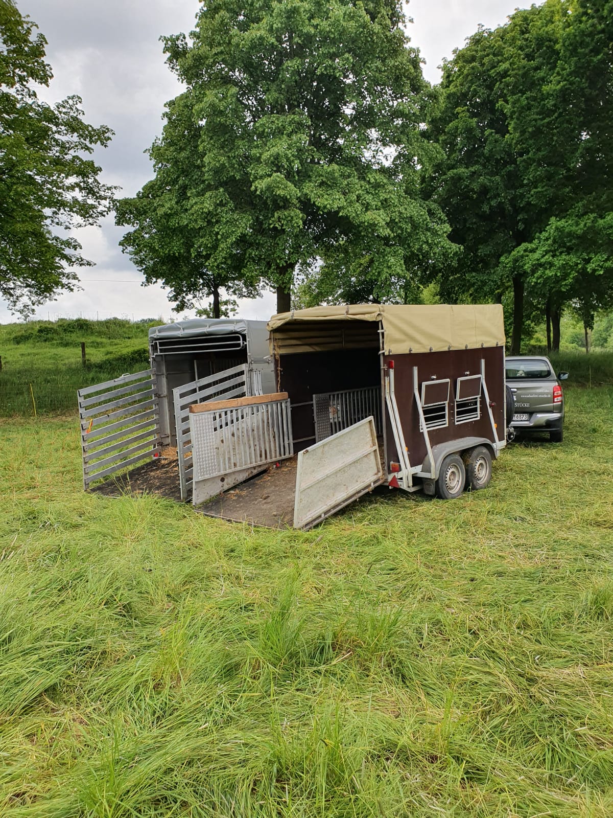 Die Busse sind geparkt ...