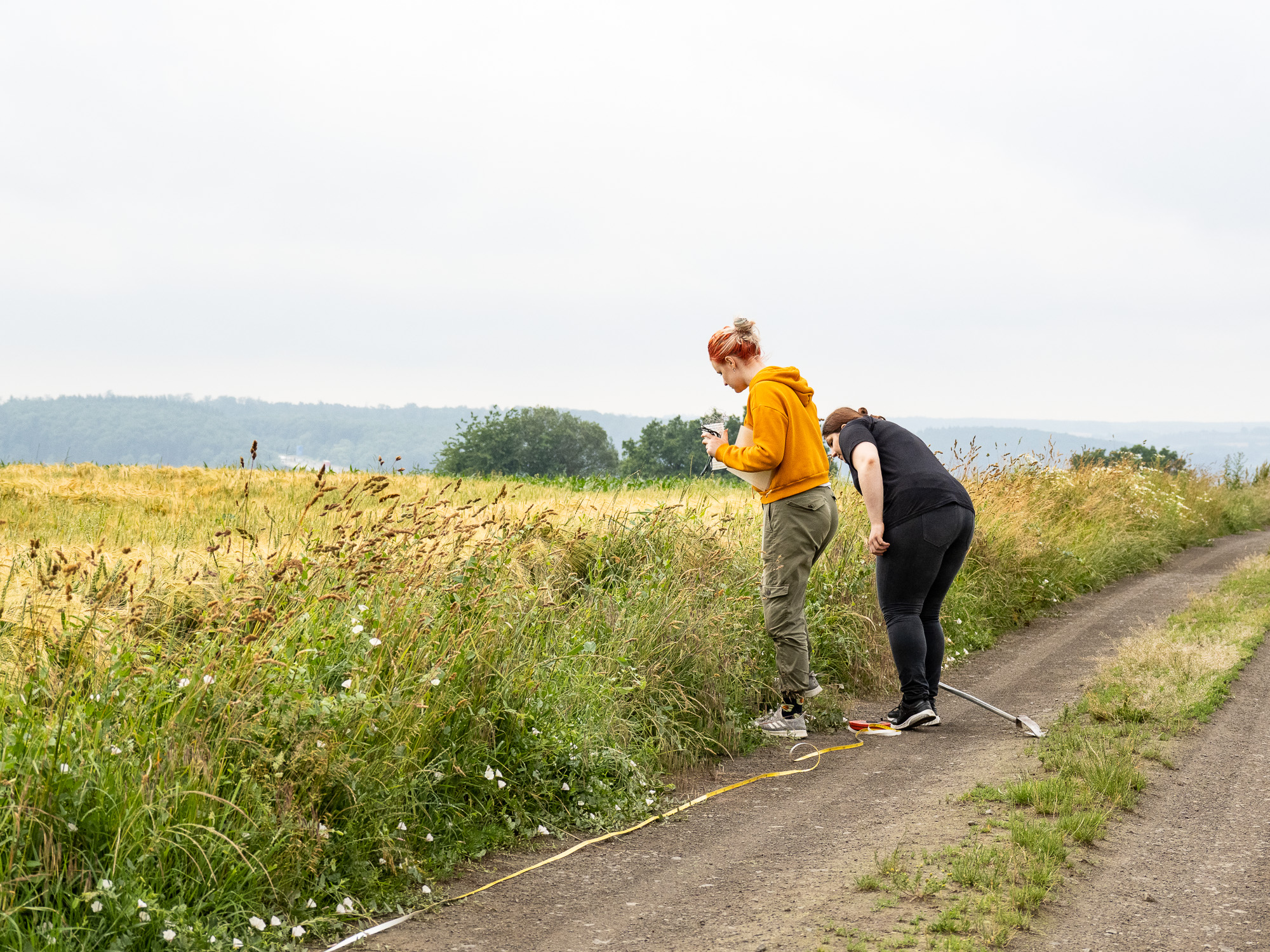 Untersuchung an einem Feldweg