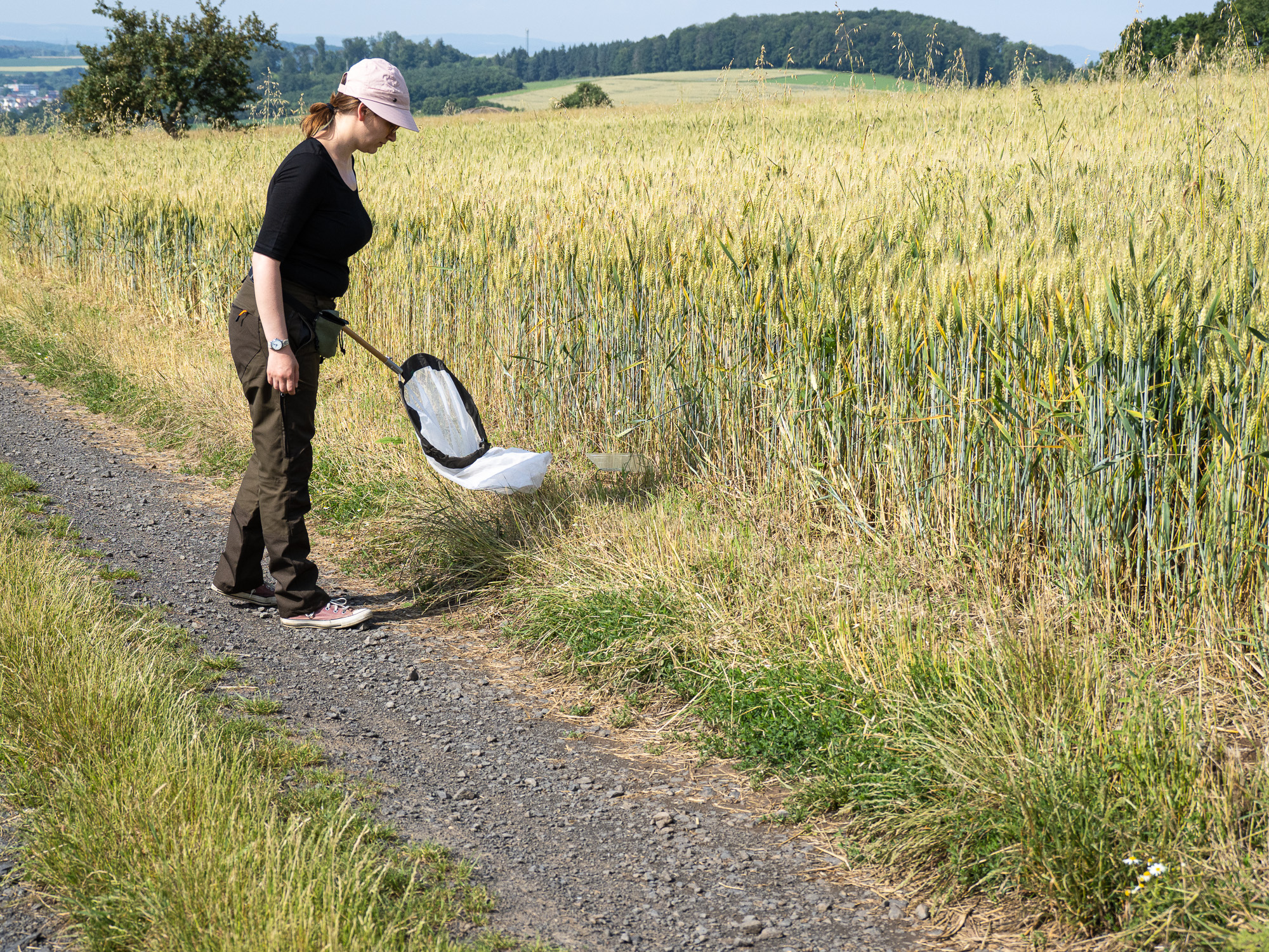 Dazu braucht es Artenkenntnis und schnelles  Handeln