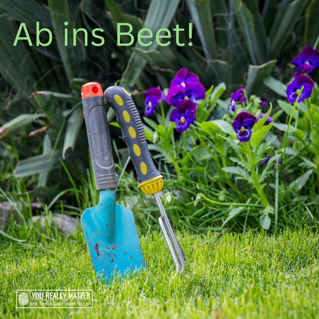 Ab ins Beet!