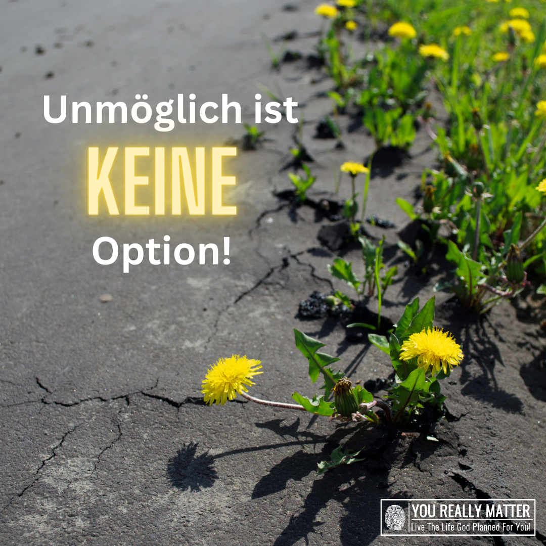 Unmöglich ist KEINE Option!