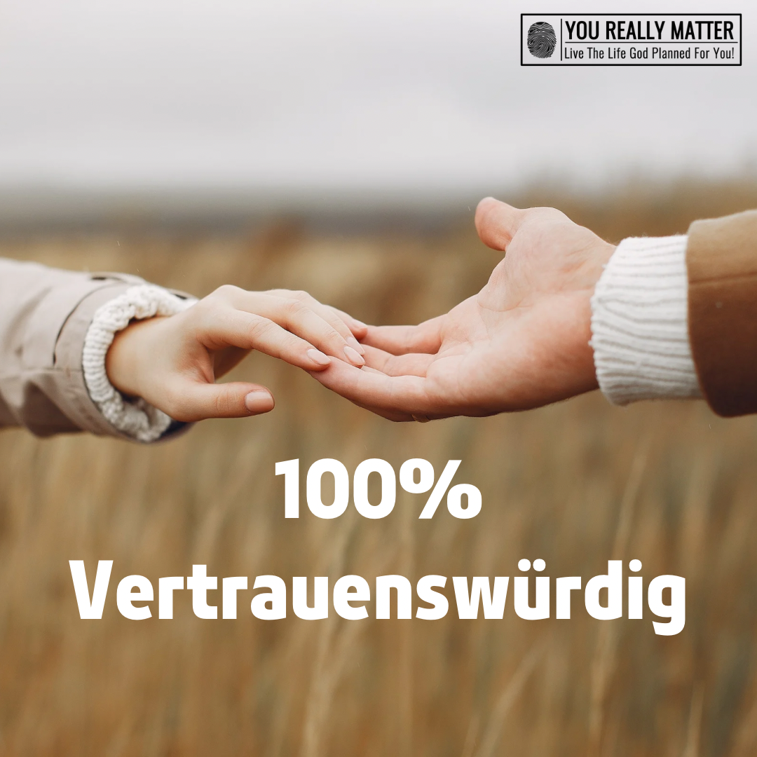 100% Vertrauenswürdig