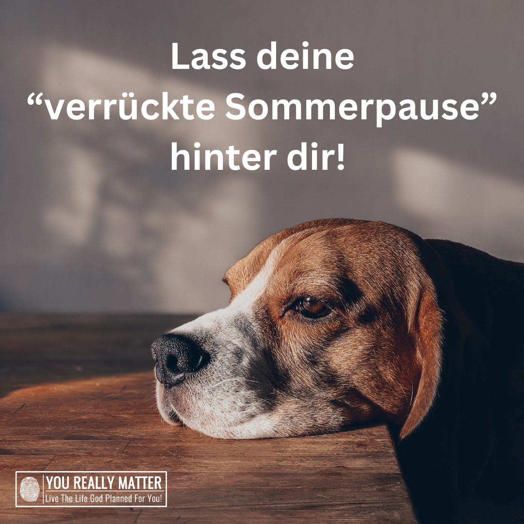 Lass deine "verrückte Sommerpause" hinter dir!