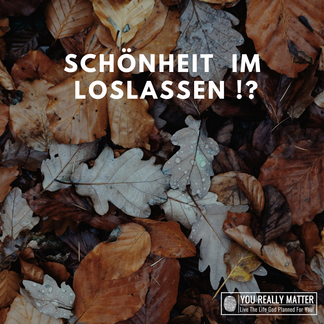 Schönheit im Loslassen!?