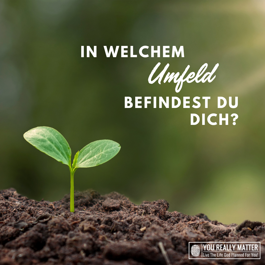 In welchem Umfeld befindest du dich?