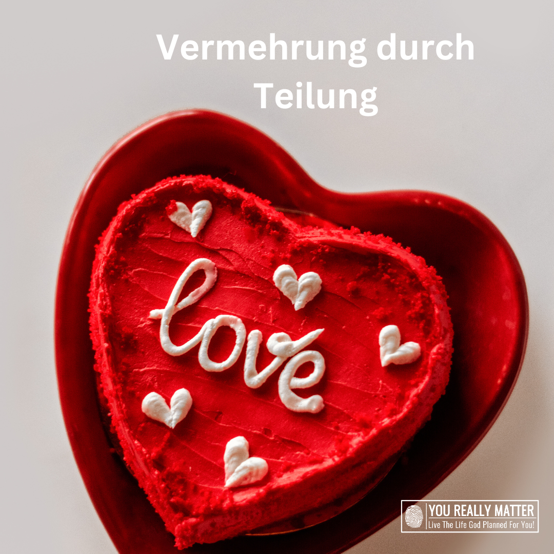 Vermehrung durch Teilung