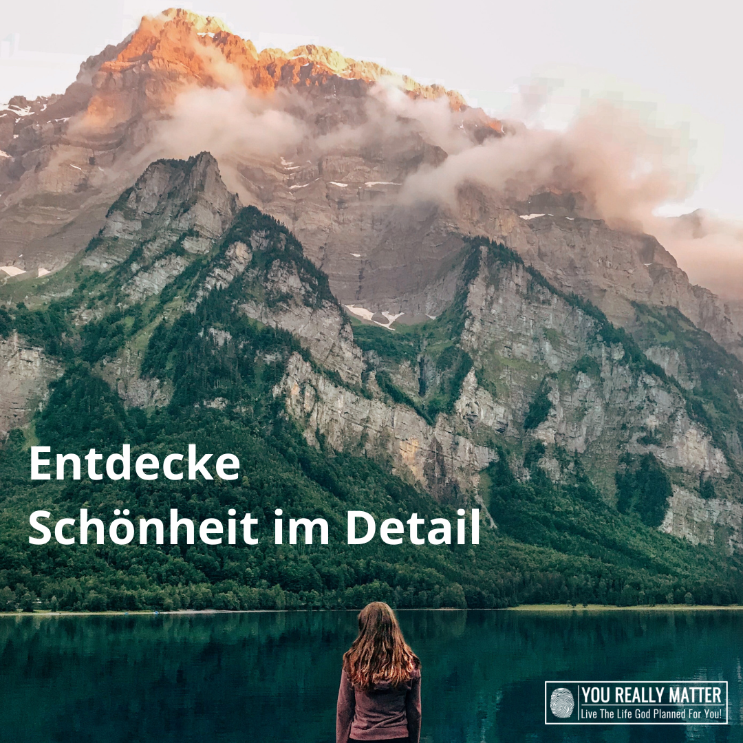 Entdecke Schönheit im Detail