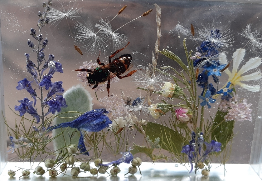 Bienenkönigin in Harz