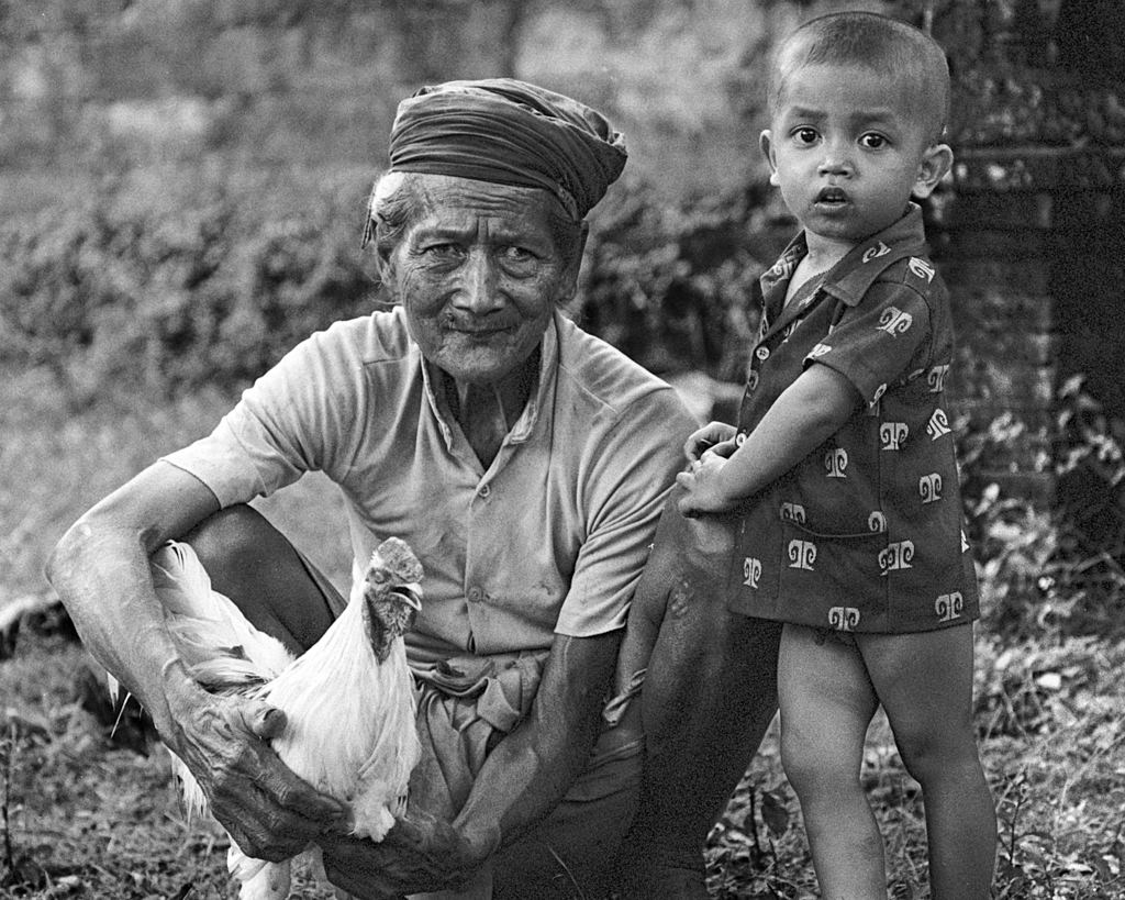 # 39  -  Mein Hahn, mein Enkel, mein Lebenssinn - Bali, Indonesien 1979