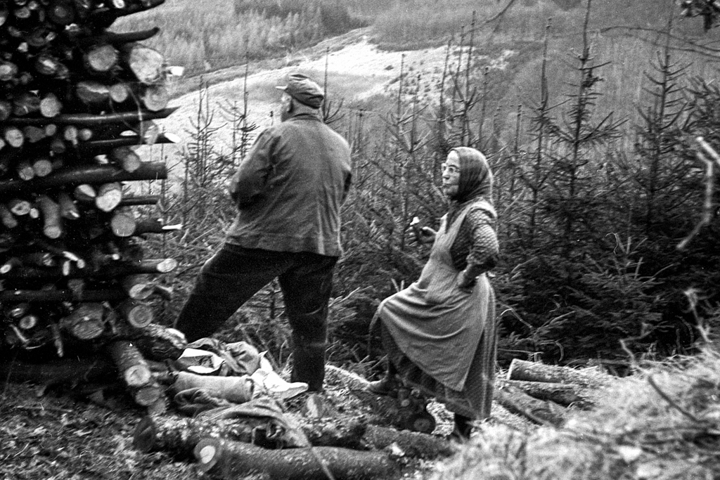 # 40  -  Pause beim Holzmachen - Oberhöllgrund, Odenwald 1965