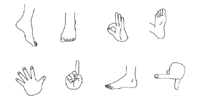 手足の画像