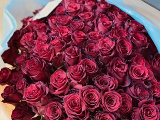 Valentin 3 For you 5 langstielige rote Rosen mit etwas Grün 40 €