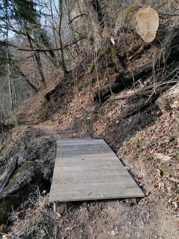 Wandern & Aktionen - Schwarzwaldverein Stühlingen