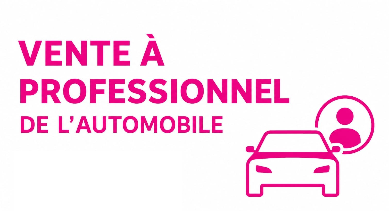 VENTES A PROFESSIONNEL DE L'AUTOMOBILE