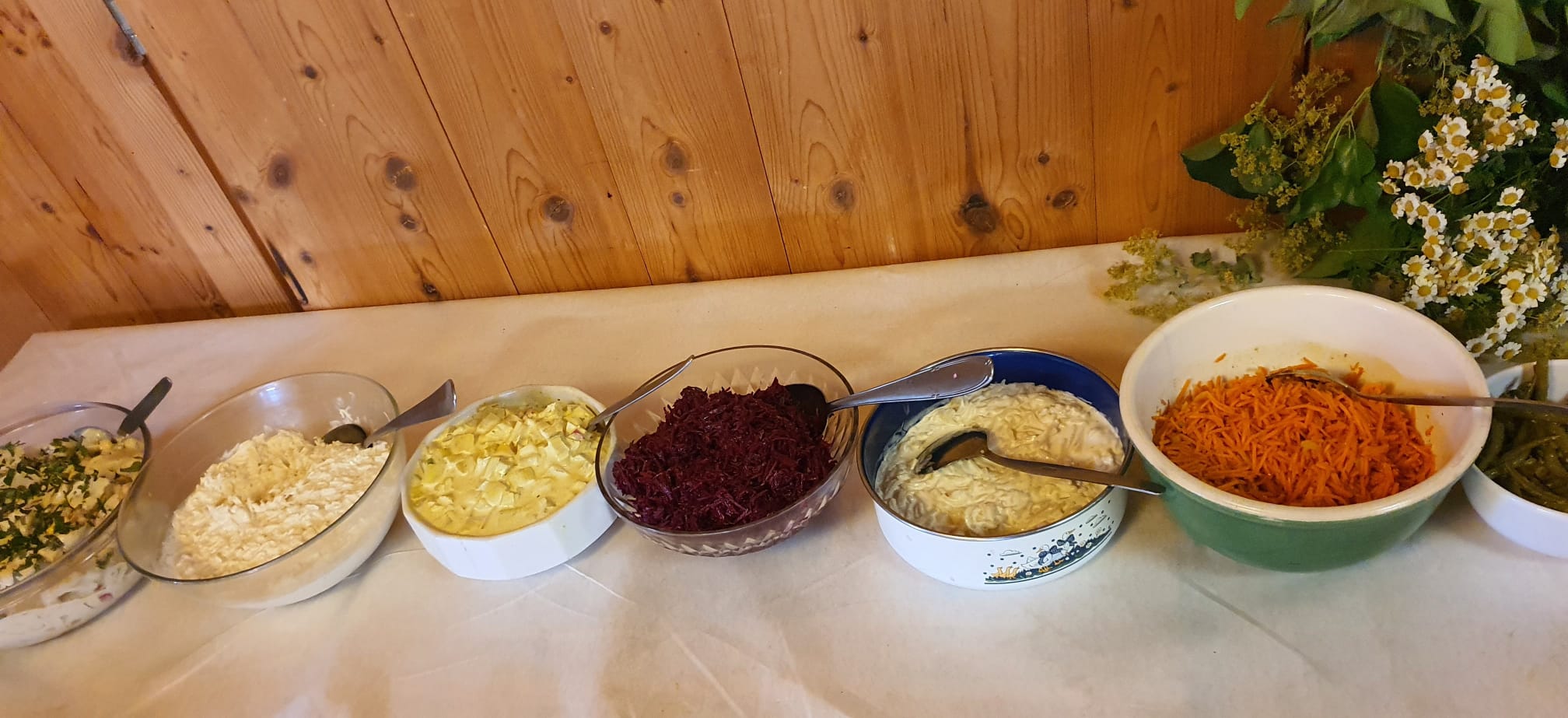 EM - Effektive Mikro-Organismen