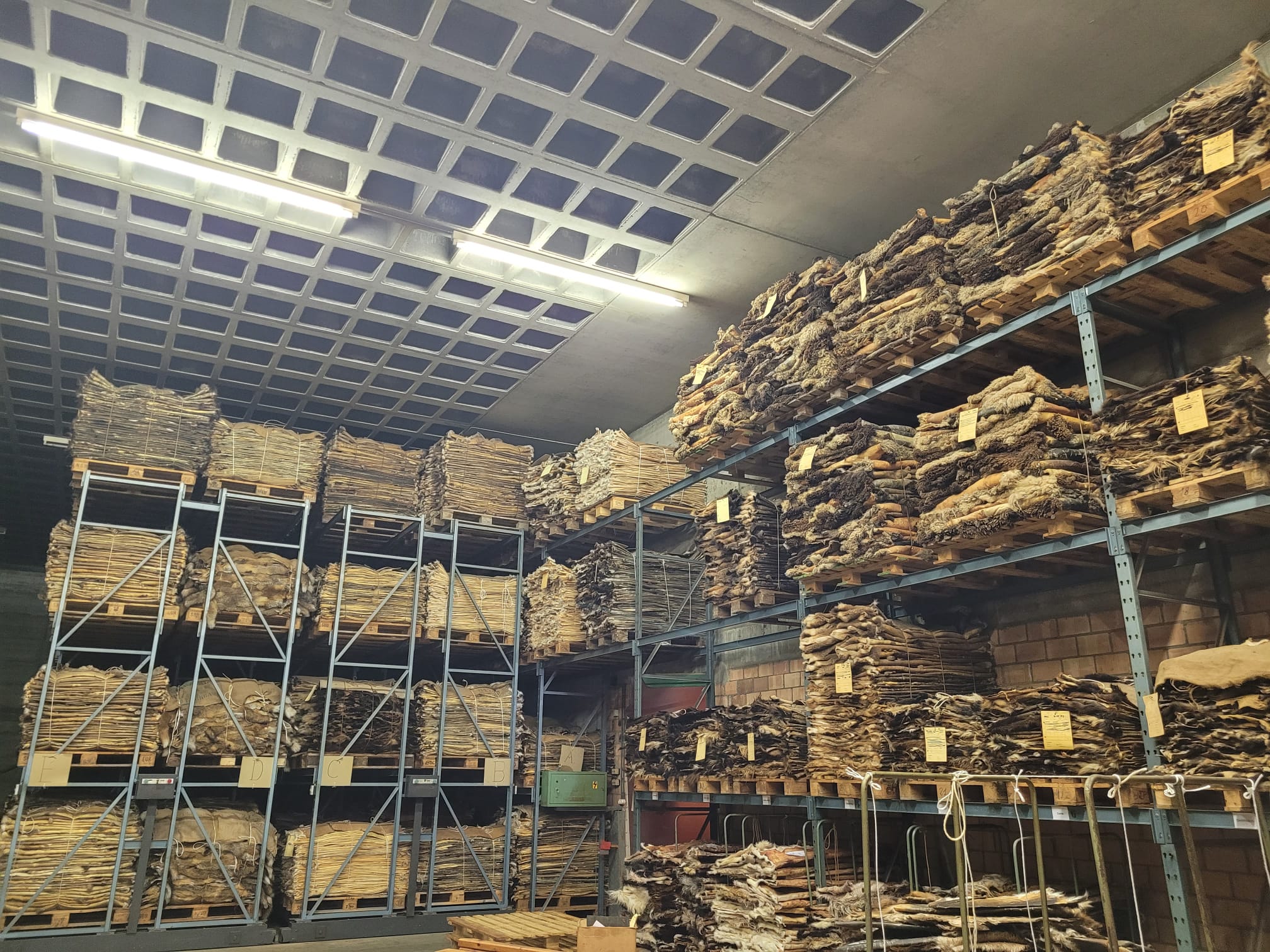 Betriebsbesichtigung Firma Neuenschwander Oberdiessbach