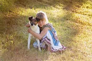 人が来て吠える犬はしつけで直る