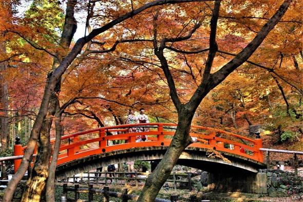 お土居のもみじ　　　　高橋　功　　