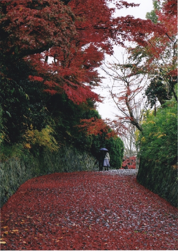 幸福そうな赤　　　　　　　山川　悦子