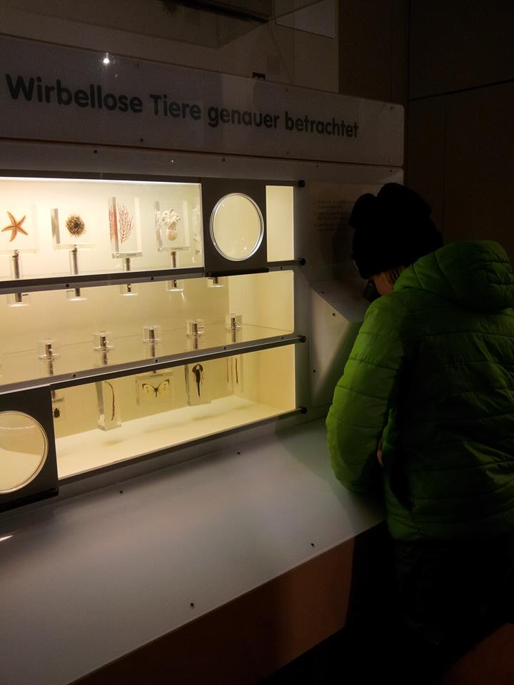 Wirbellose Tiere, © Regina Betz