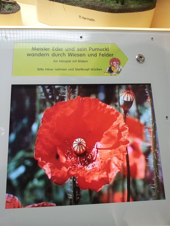 Pumuckl-Hörspiel, © Regina Betz