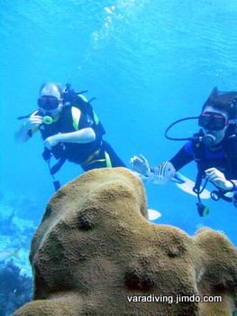 diving the caribbean cuban sea