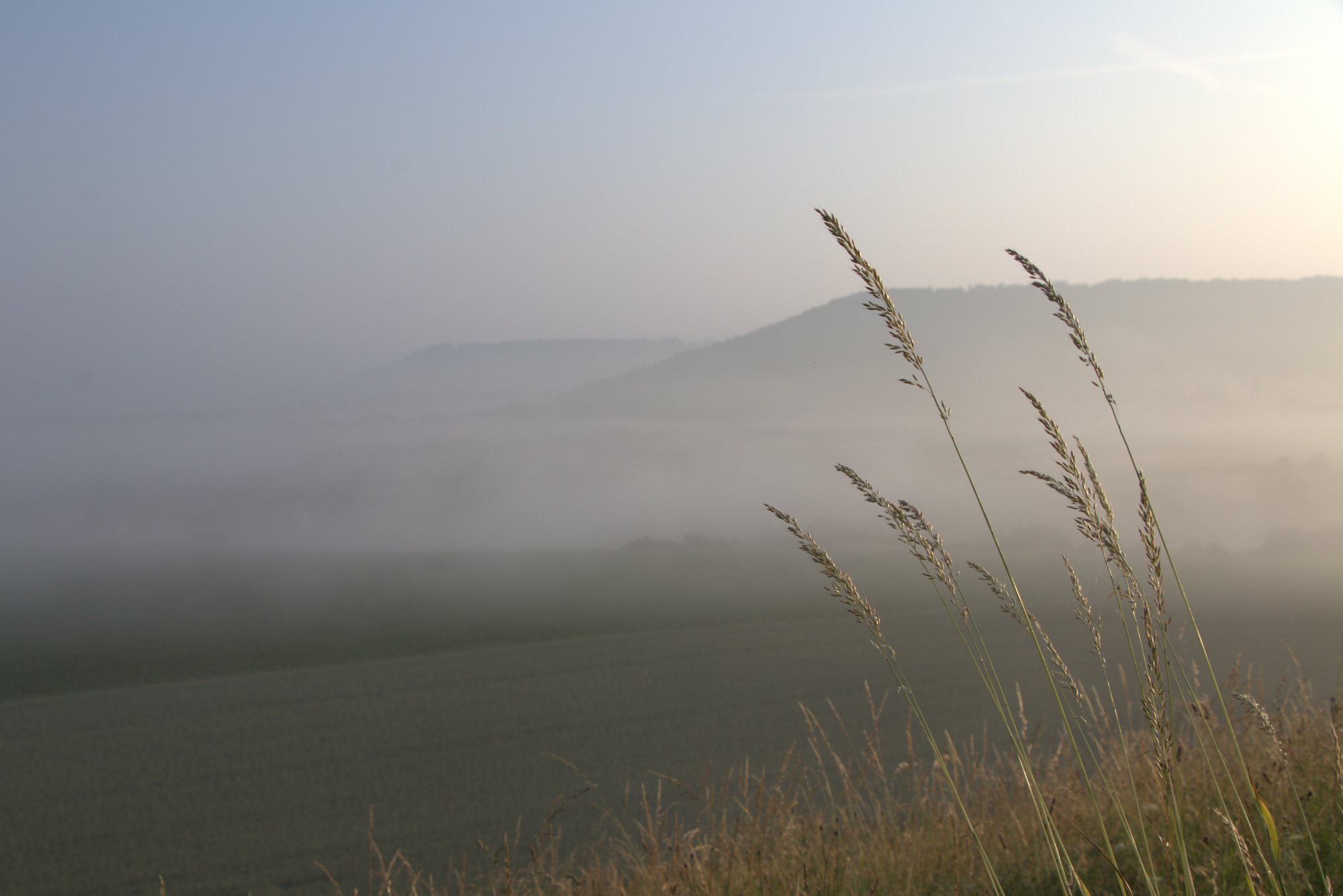 Wettbewerb - Nebel